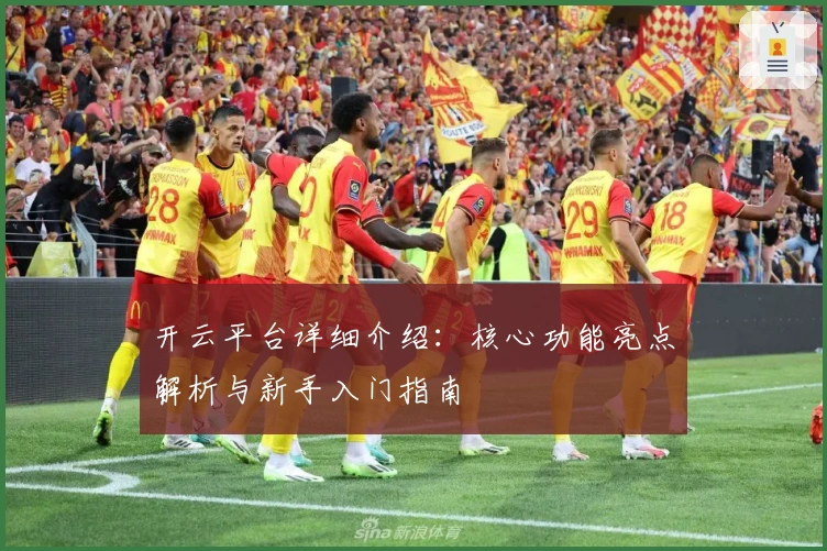 开云平台详细介绍:核心功能亮点解析与新手入门指南